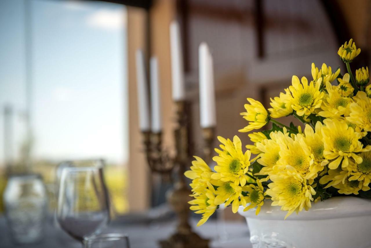 Agriturismo Casale Ugolini Montespertoli Ngoại thất bức ảnh